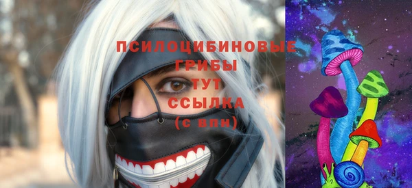 дмт Михайлов