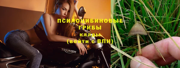 ПСИЛОЦИБИНОВЫЕ ГРИБЫ Алексеевка