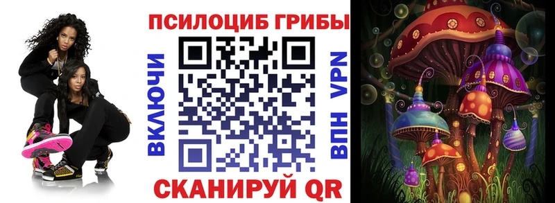 Псилоцибиновые грибы прущие грибы  где найти наркотики  блэк спрут рабочий сайт  Кемерово 